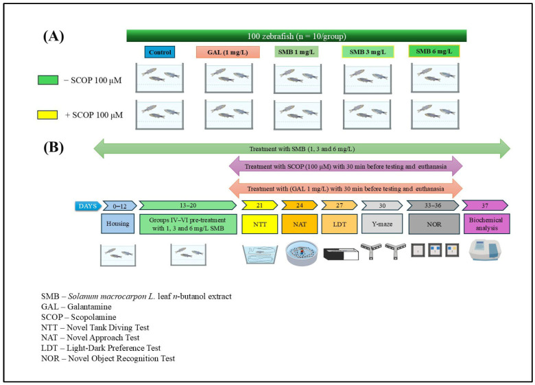 Figure 10