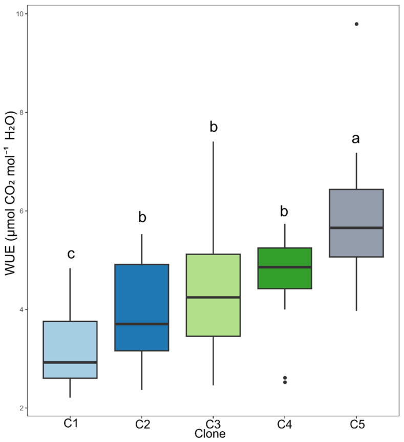 Figure 5