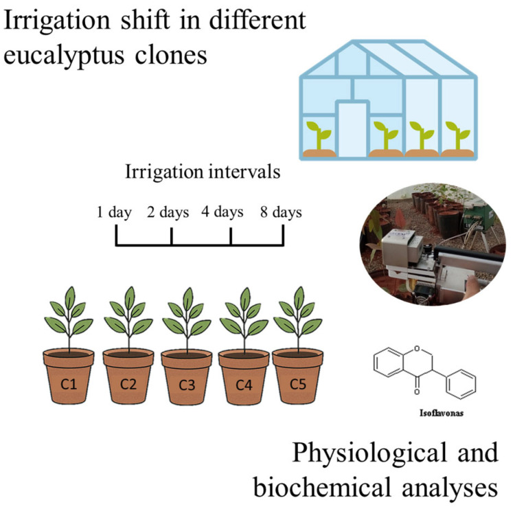 Figure 16