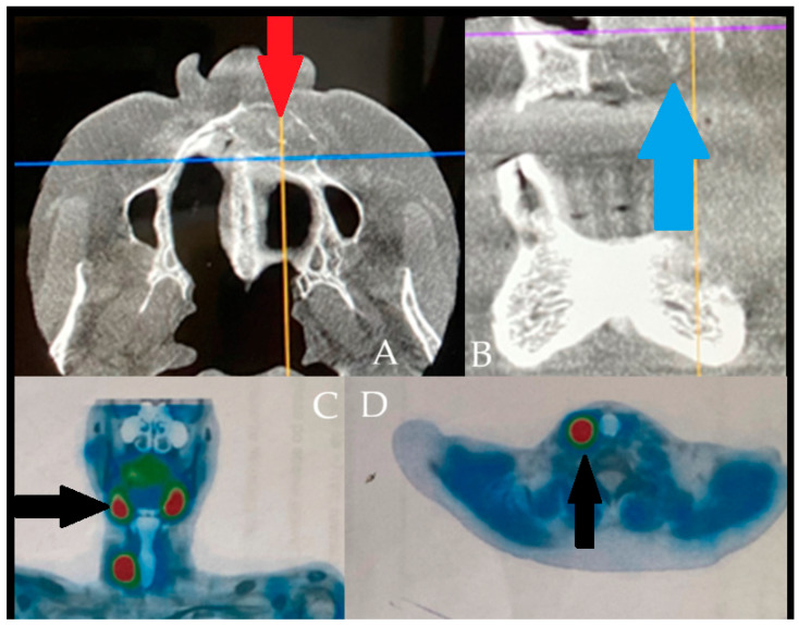 Figure 6