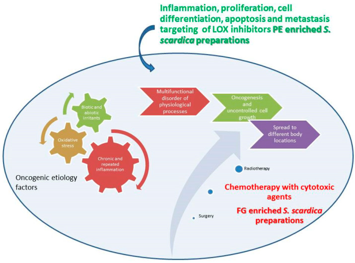Figure 13