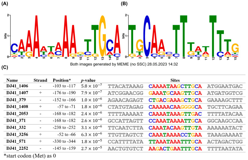 Figure 7