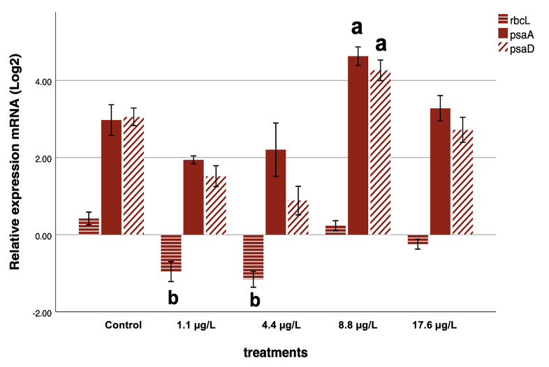 Figure 5