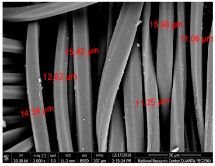 Figure 12