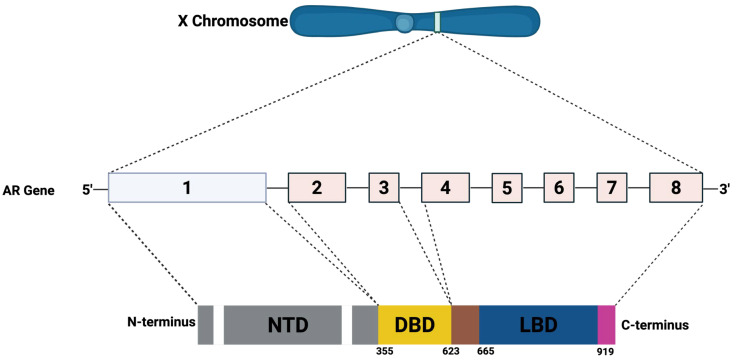Figure 11