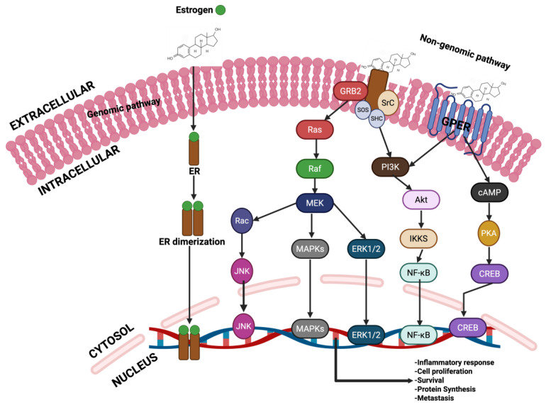 Figure 13