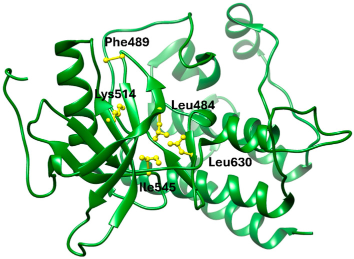 Figure 2