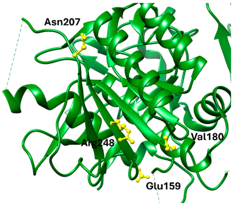 Figure 5