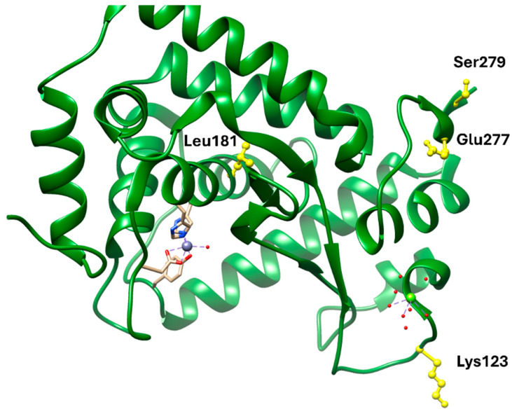 Figure 7