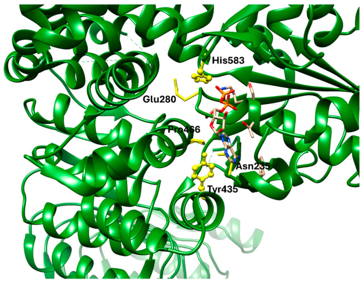 Figure 9