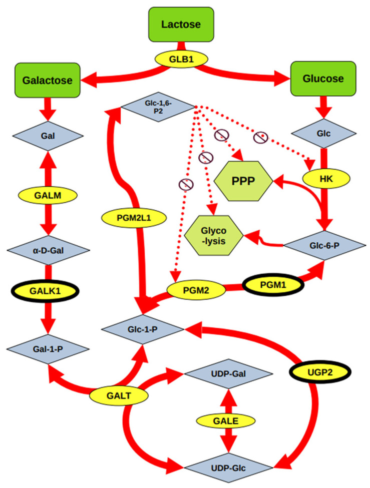 Figure 6