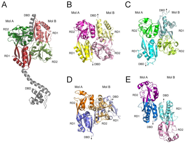 Figure 7