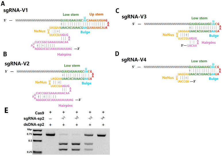 Figure 4