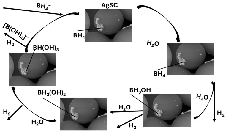 Figure 9