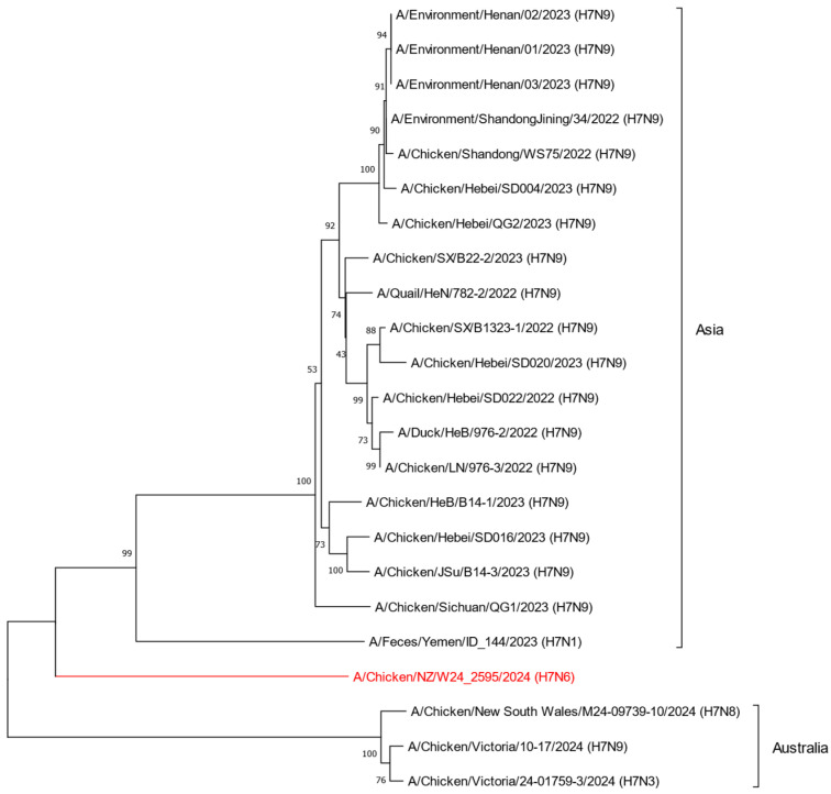 Figure 2