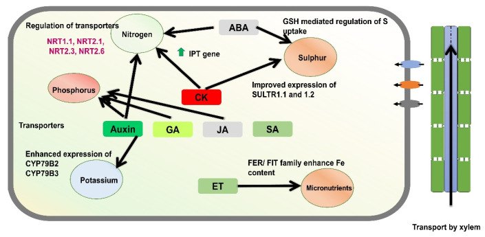 Figure 2