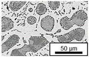 Figure 28