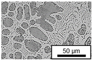 Figure 29