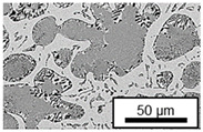 Figure 30