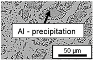 Figure 42