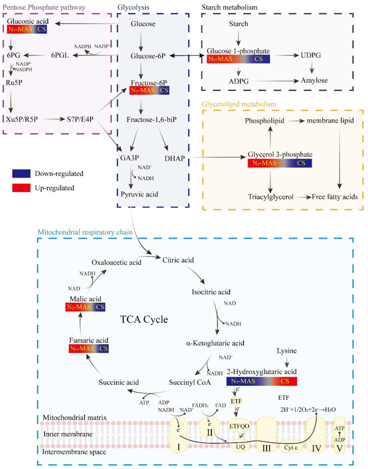 Figure 10