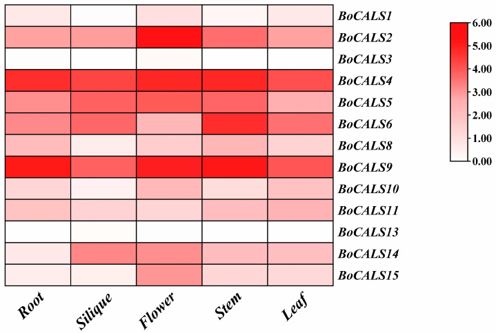 Figure 5