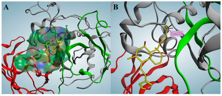 Figure 6