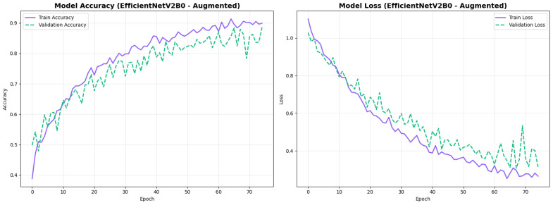 Figure 20