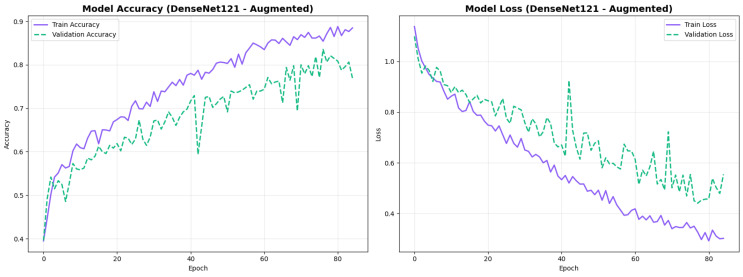 Figure 24