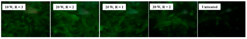 Figure 23