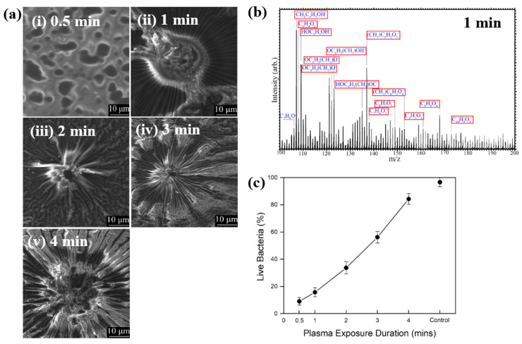 Figure 27