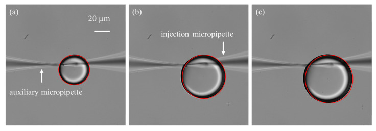 Figure 7