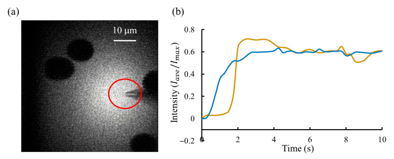 Figure 11