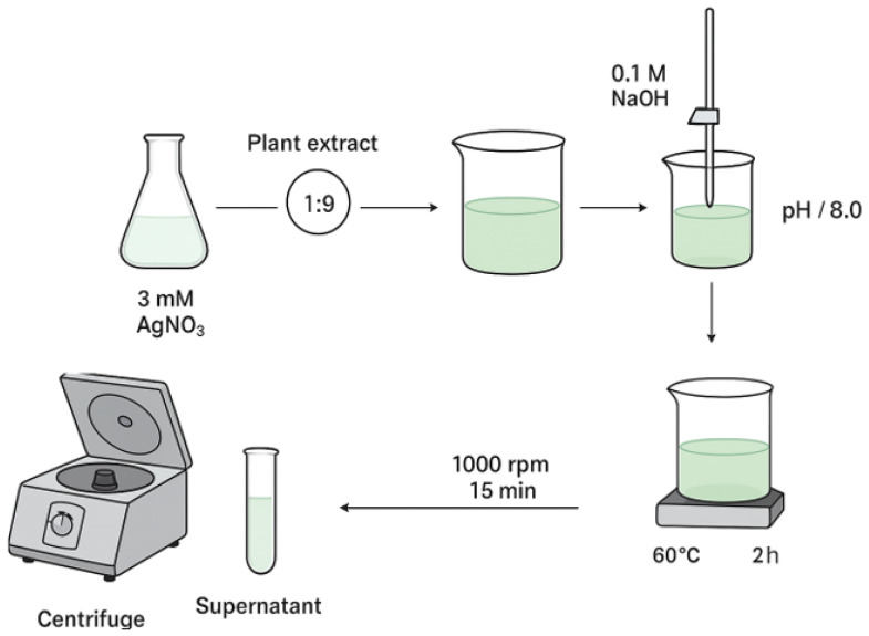 Figure 11