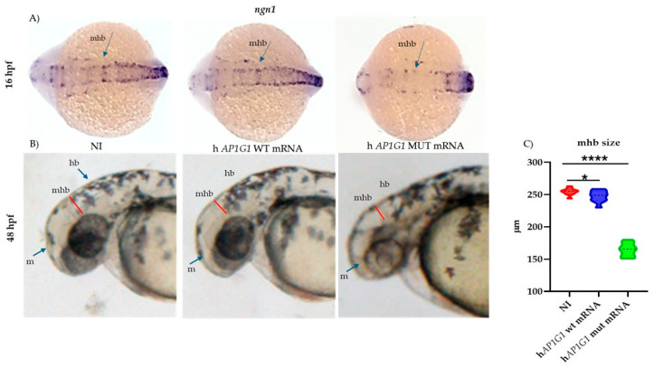 Figure 10