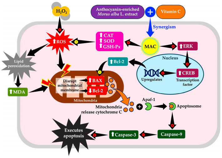 Figure 13