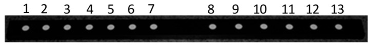 Figure 11
