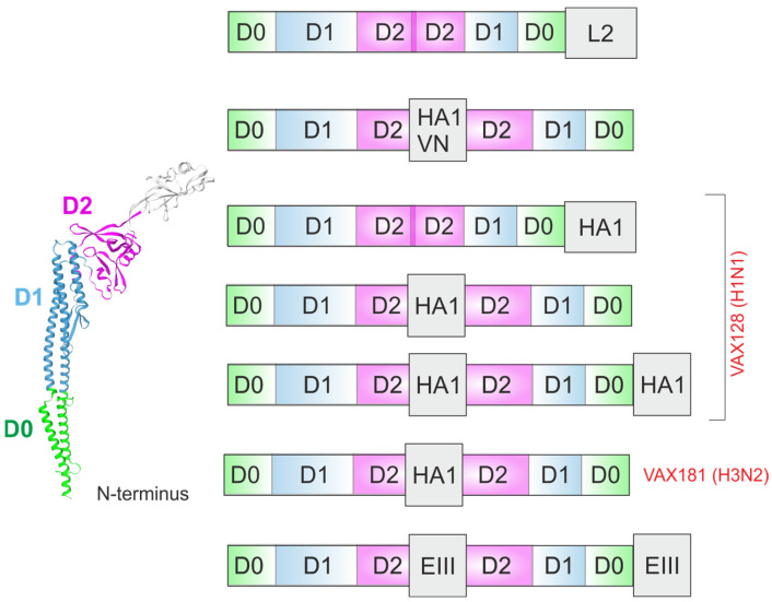 Figure 5