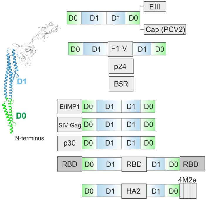 Figure 6