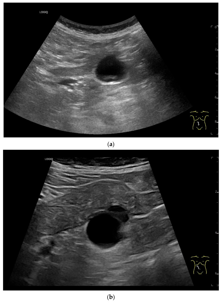 Figure 27