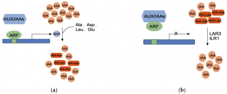 Figure 14