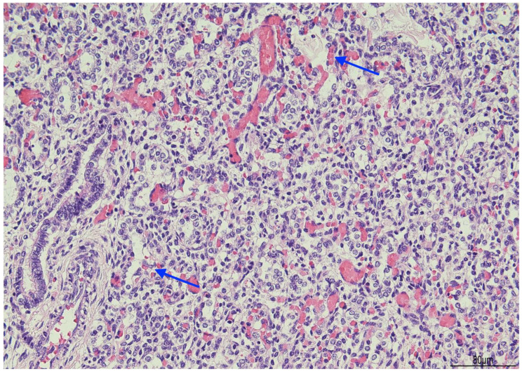 Figure 9