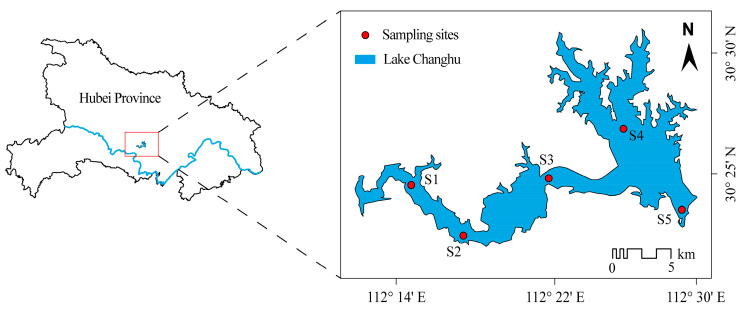 Figure 9