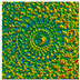 Figure 31