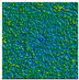 Figure 37