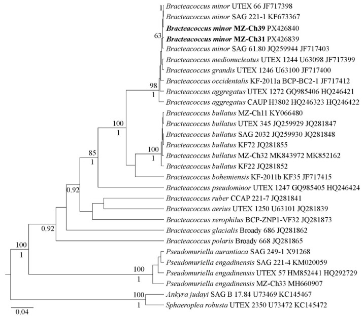 Figure 2
