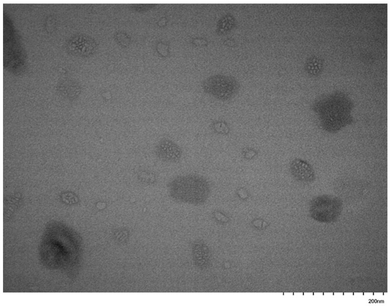 Figure 12