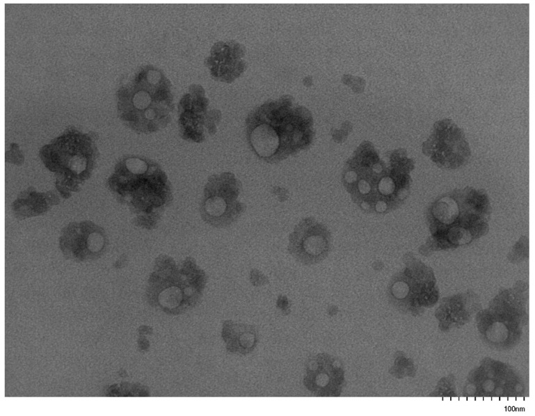 Figure 13
