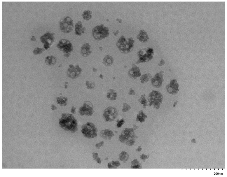 Figure 14
