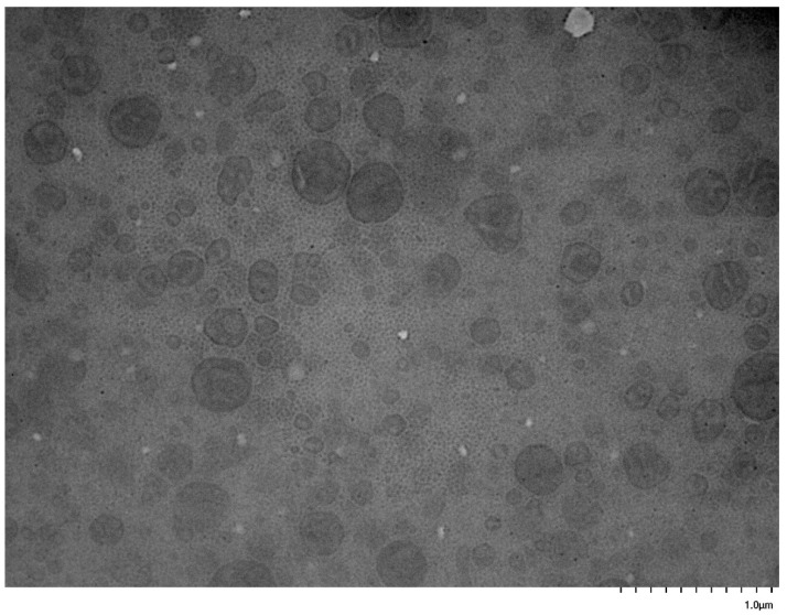 Figure 16